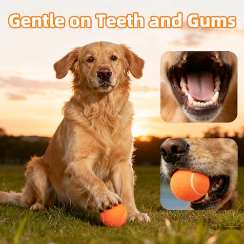 Image of Sunraymascota 6-Pack Tennis Balls for Dogs Fetch Toys,for Beginner Practice