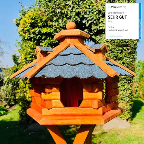 Maison oiseaux nourriture préservée grâce à la mangeoire bois - 2