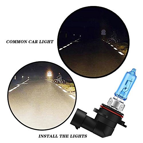 Yorten 9005 12V 55W branco halogênio lâmpada farol carro