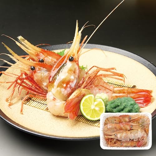 ڂCV IXX BFLLTCY 500g(7?9/Oサ܂) IX/XIsETCYoL