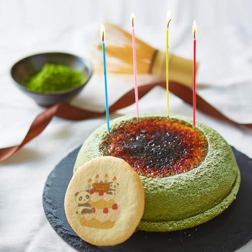 ṼXC[c  `[YP[L 15cm 1  a x ς-P[L 