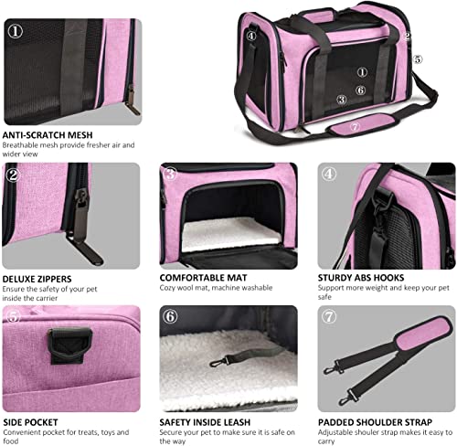 Image of PETANGEL Cat and Small Dog Carrier Bag, 50cm Large Cat Carrier Soft Sided Carrier, Folding Dog Carrier(Pink, L+: 50cm x 34cm x 34cm)