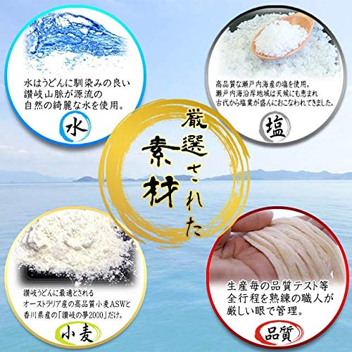 Amazon.co.jp: 金福 純生 讃岐うどん（1袋250g×3袋） つゆ付きセット
