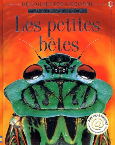 Les Petites Bêtes [French] 0746049978 Book Cover
