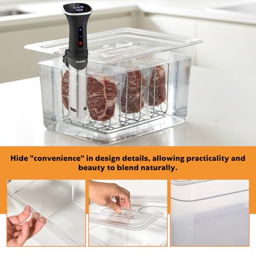 Cuiseur sous vide récipient transparent multifonction 11L avec grille et couvercle