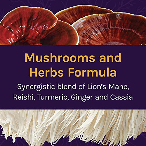 Host Defense, Mycobotanicals Brain & Body Powder, Support For Brain, Heart And Digestive Health, Mushroom Supplement, Plain, 3.5 Ounce (Pack Of 1) #TOP2