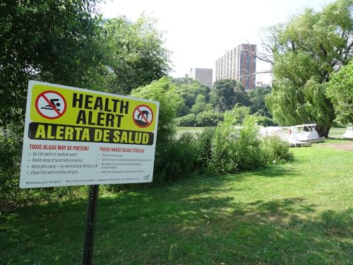 Public input important to Veterans Park lagoon restoration