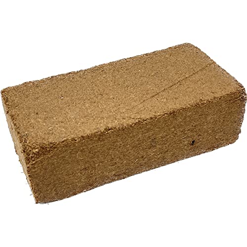 image for Seed Needs, Culinary Herb Seed Packet Collection Seed Starting Bundle 