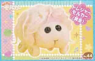 コレクション PUIPUI Amazon.co.jp: ミニデココレクション PUI PUI モルカー 4種×各