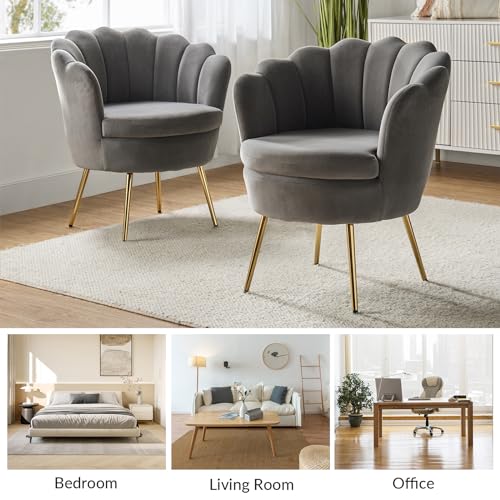 Image of HULALA HOME Modern Velvet Accent Chairs Set of 2 with Shell Shaped Back, Cute Living Room Bedroom Armchairs Sofa Chairs with Gold Legs, Comfy Upholstered Vanity Chairs for Makeup Room, Grey