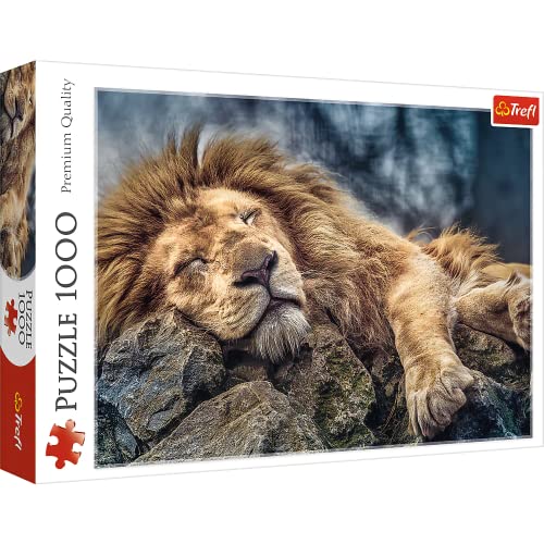 Trefl 916 10447 EA 1000 Teile, Premium Quality, für Erwachsene und Kinder ab 12 Jahren 1000pcs...