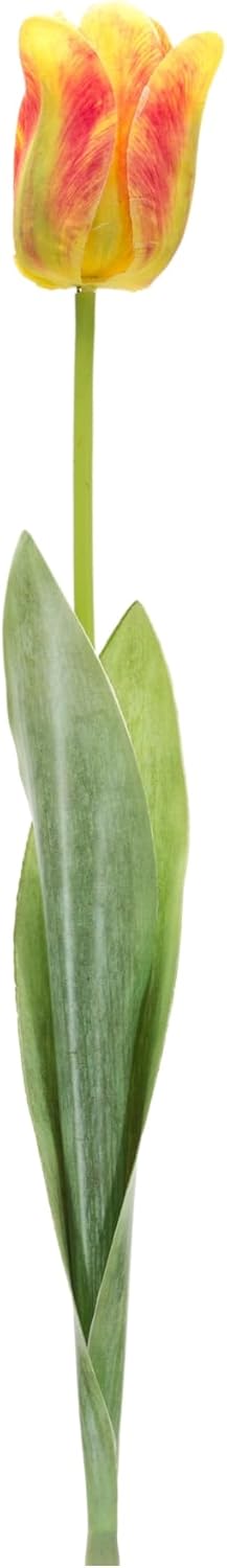 Tulip Stem (Set of 6) 27" H Polyester/Plastic