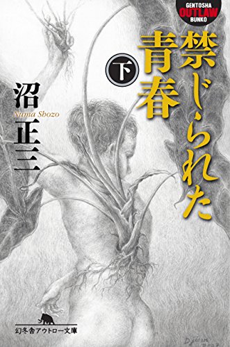 禁じられた青春（下） (幻冬舎アウトロー文庫)