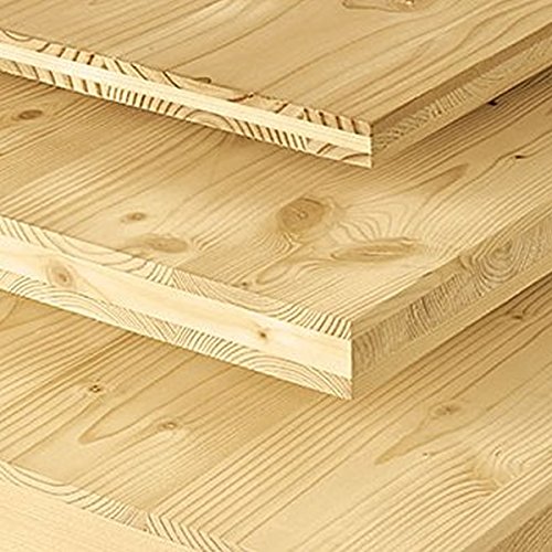 ABETE PANNELLO IN ABETE MASSELLO LAMELLARE A TRE STRATI 200X50X1.9 (085242) - Carburo di silicio Fine - Compatibile con Smerigliatrice angolare - 120 Grit