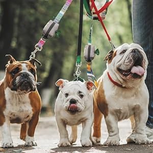 Dog Poop Bag Holder for Leash, Accessory For All Leashes, Lightweight Doggie Poop Bag Dispenser Allows For Easy Access To Pet Waste Bags, Includes Doggy Bags for Poop Holders