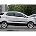 JIERS Per Ford Ecosport, Adesivi per Strisce Laterali per portiera per Auto Adesivi per accattivanti Decalcomanie Decorazione Accessori per Auto Adesivi per Auto