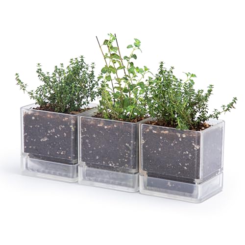 D'vine Dev 4 Inch Herb Planter Pot, Plastic Planter with