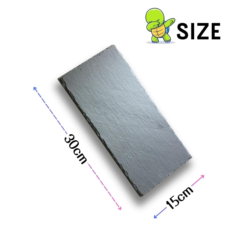 Amazon | JP Number 亀乾燥ボード フードプレート カメ 爪研ぎ