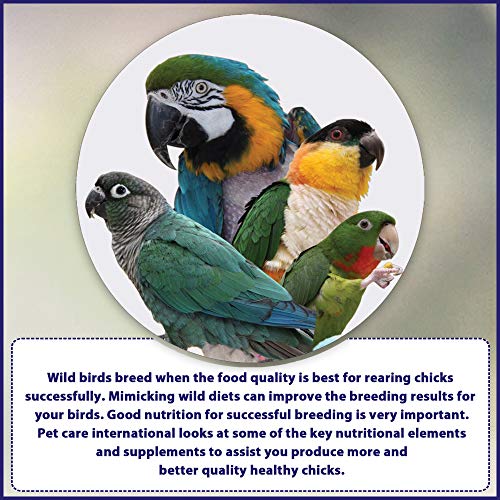 Image of Pet Care International (PCI) D-Plus Powder || Help Calcium Absorption and Immunity || Healthy Bird Healthcare || 100grm