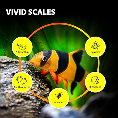 GOOD PARTNER Purify Series For Algae Wafers Pleco Food