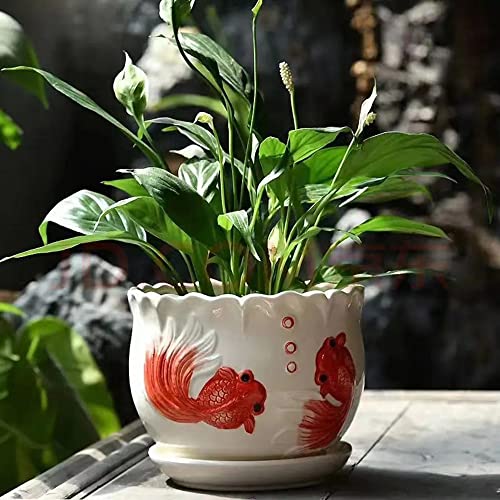 Ceramic Home/Garden Modern Flower Planter Pot With Saucer/Tray - Outside Red Fish Design #TOP1