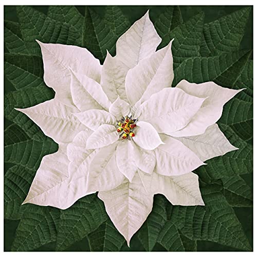 Hoffman Fabrics Hoffman Digital Dream Big Holiday 43'' Poinsettia Panel Fabric, White