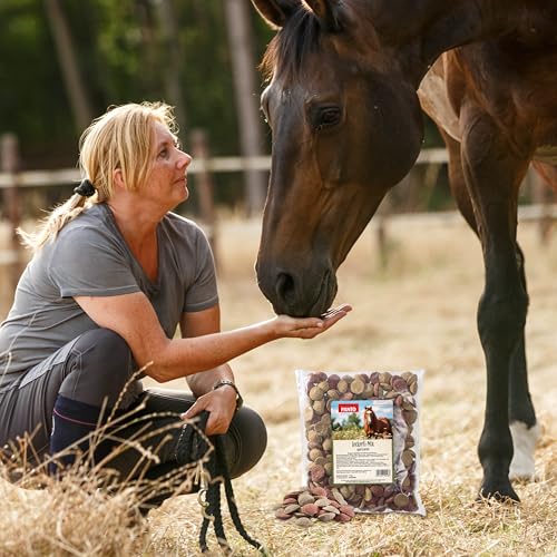 PANTO Leckerli Mix für Pferde Apfel & Karotte 1 kg – leckere Belohnung für Pferde und Ponys in Pelletform, Zwei Sorten Pferdeleckerlis, Pferdefutter Ergänzung