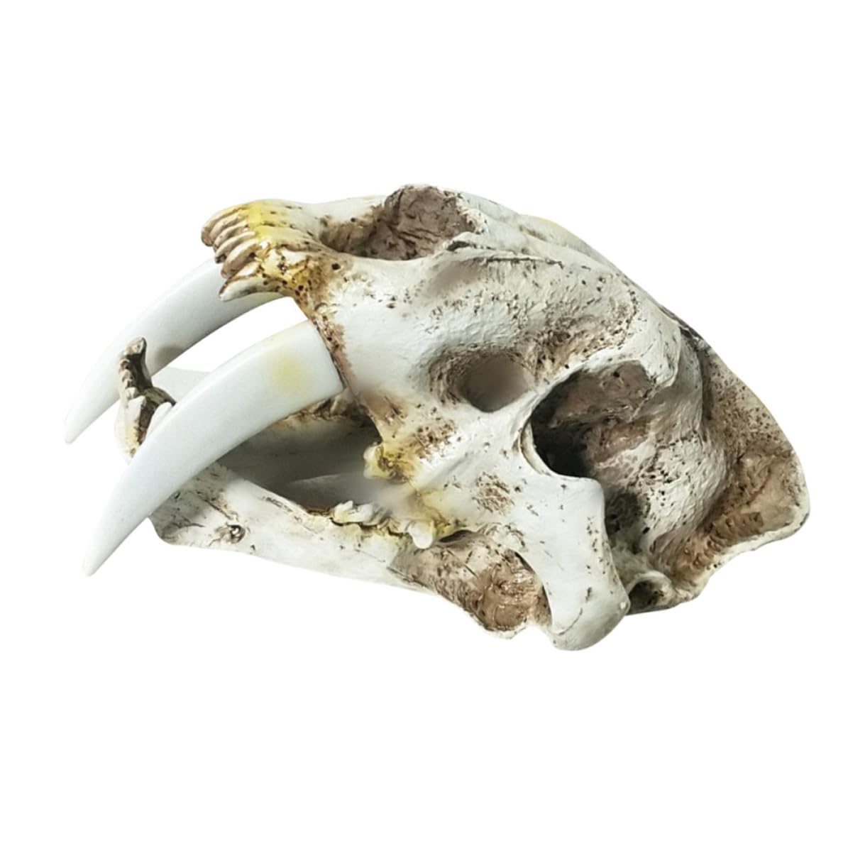 Säbelzahntiger Totenkopf Ornamente aus Kunstharz, Halloween Geschenkideen