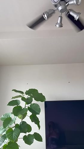 Amazon | オーデリック LEDシーリングファン(LED電球ミニ