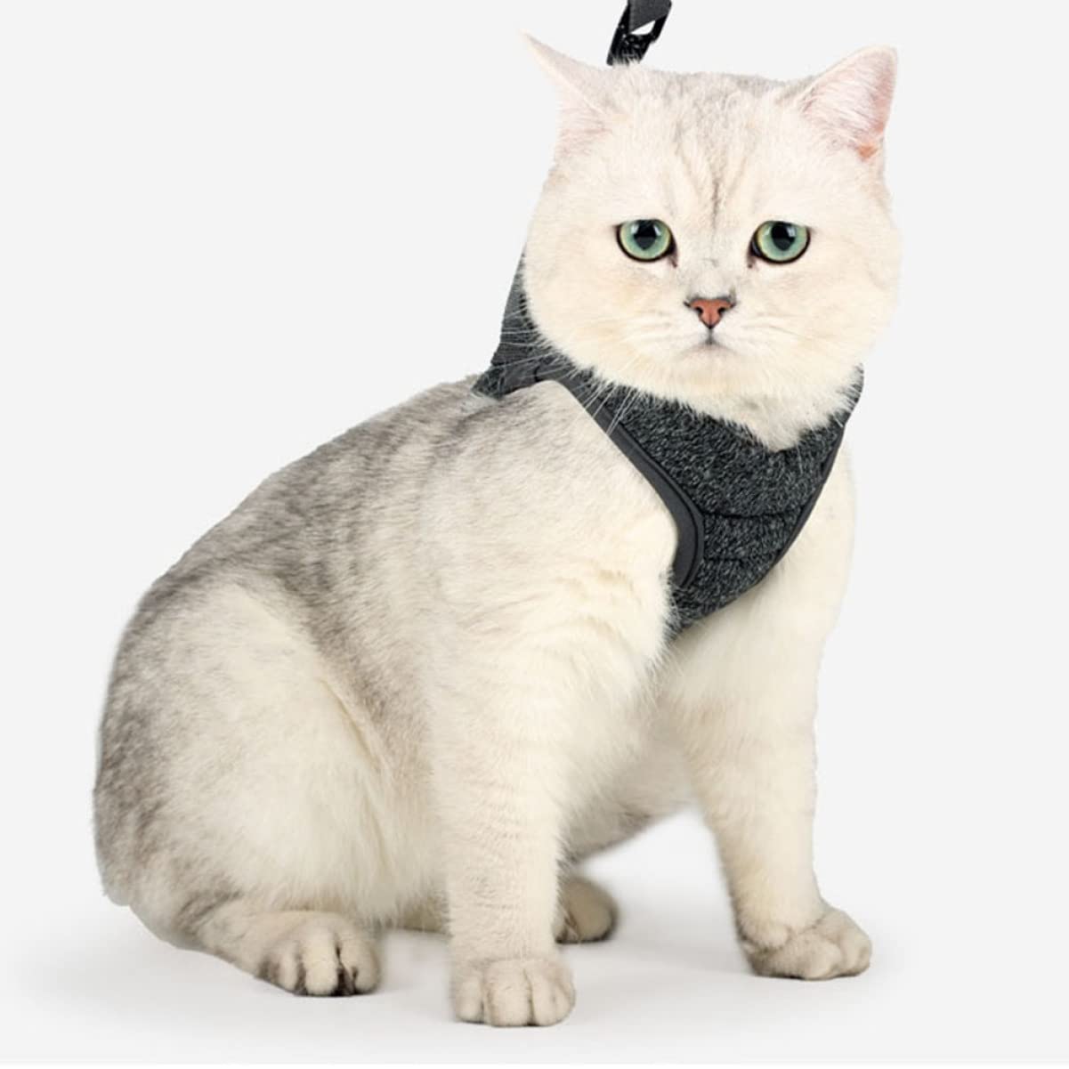 POPETPOP 3pièces pour Chat Sangle De Poitrine Confortable Et Respirante Accessoire pour Animaux De Compagnie s