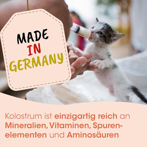 Singulares Rinder-Kolostrum pur 100% natürlich für Immunsystem 30 g