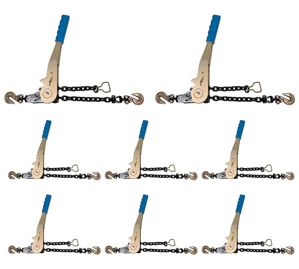Mytee Ratchet Chain Binder - 4 Pack, 5400 lbs WLL -22