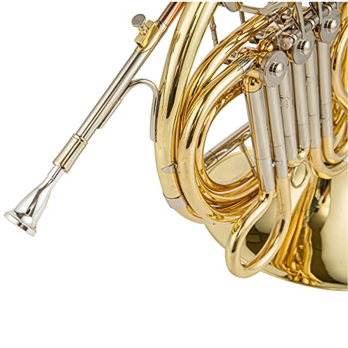 Aurosus AHR-811 F Flat 3 Key French Horn - Brass Lacquer Gold Craft French Horn - Includes Musical Instrument Box For children Beginners Examinations