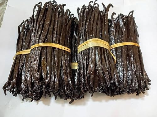 3lb Vainilla en Grano Grado A++| Vainilla Entera para Extracto y Horneado, 6-8 Pulgadas miniatura 5