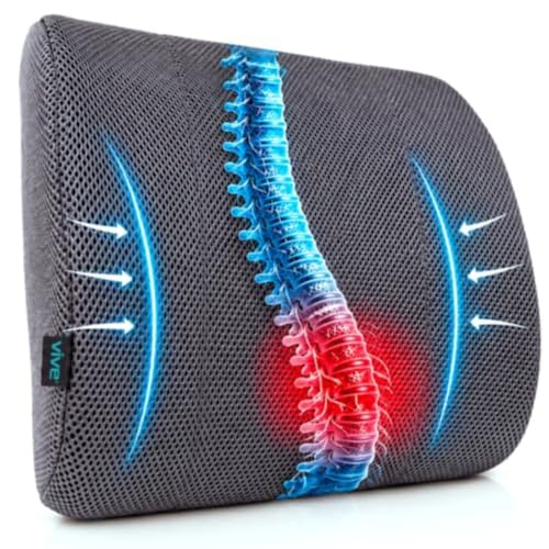 The Lumbar Support Pillow By Vive