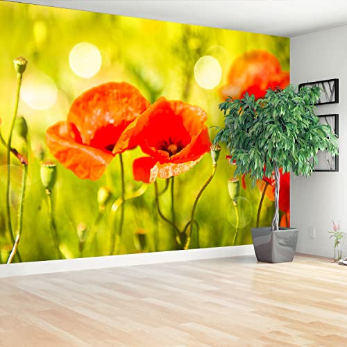 Papier peint coquelicots Tulup intissé pose facile 312cm - 3