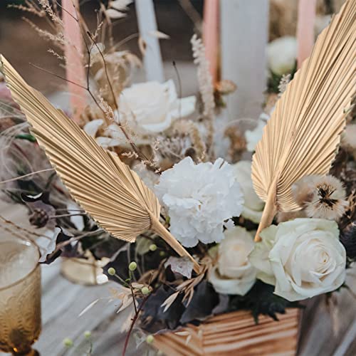 Natural Dried Palm Leaves Boho Palm Leaves Decor Heart Round Shape Palm Fans Tropical Palm Leaves Decoration Dried Palm Leaves Decor For Holidays Weddings Party Kitchen (Pointed Top Shape, 6) #TOP3