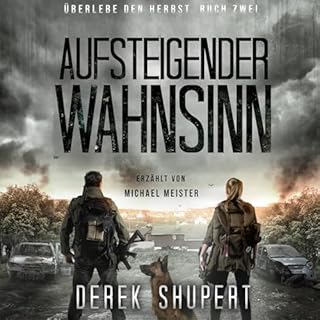 Aufsteigender Wahnsinn cover art