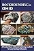Rockhounding in Ohio: Rock & Mineral Gathering Log Book for Local Backyard Geology Enthusiast | Natural Rock , Mineral , Stones And Gemstone ... ( All Adventurous Collectors ) , Vol : 35