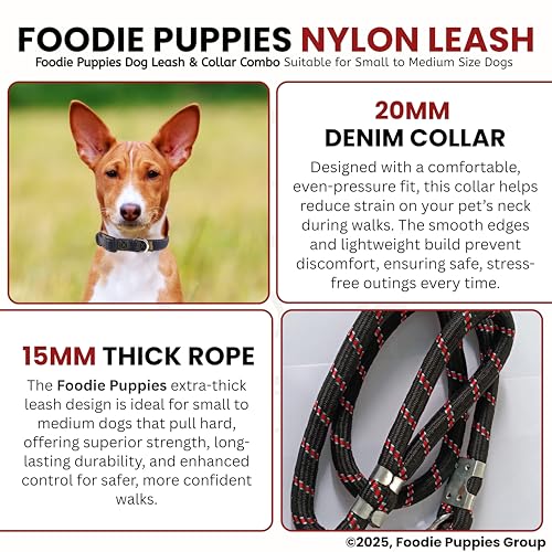 Image of Foodie Puppies Dog Leash and Collar Combo Set - (Nylon Leash + Denim Collar) | Handle Adjustable Heavy Duty for Training & Walking | for Small to Medium Dogs (Colour May Vary)