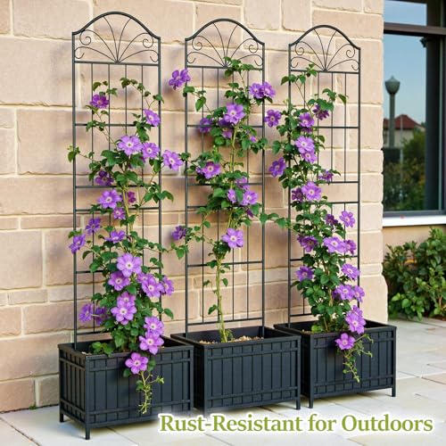 VOXOR Metal Trellis for Climbing Plants Outdoor, 70 * 19.7 Inch Tall Garden Trellis with Black Rustproof Coating, Decorative Rose Trellis for Climbing Roses, Vines, and Flowers, 2 Pack by VOXOR - Image 4
