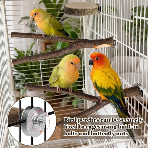 Image of 8 Pack 9 Inch Natural Wood Bird Perches for Cage, Wood Parrot Perch