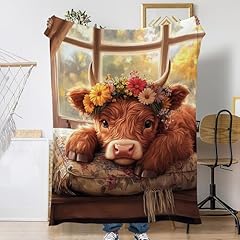 Cute Highland Cow