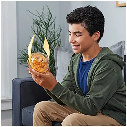 Perplexus, Harry Potter Go 3D Gravity Maze Game Brain Teaser Fidget Sensory Toy Puzzle Ball, for Adults & Kids Ages 8 and up 8 51uuSp8E4ML. AC
