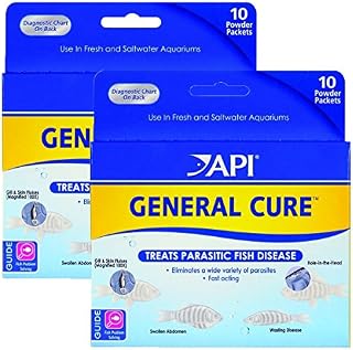 API Powder General Cure 20 pack