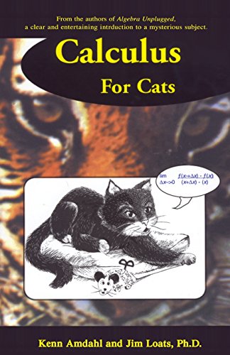 Calculus for Cats view 2