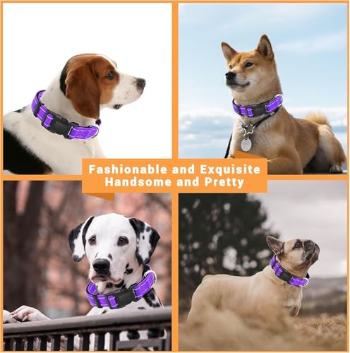 Image of Petology Reflective Adjustable Dog Collar for X-Large Dogs (50-60 cms) | Soft Neoprene Padded Nylon Pet Collar with Safe & Quick Release Buckle | Comfortable, Lightweight & Durable
