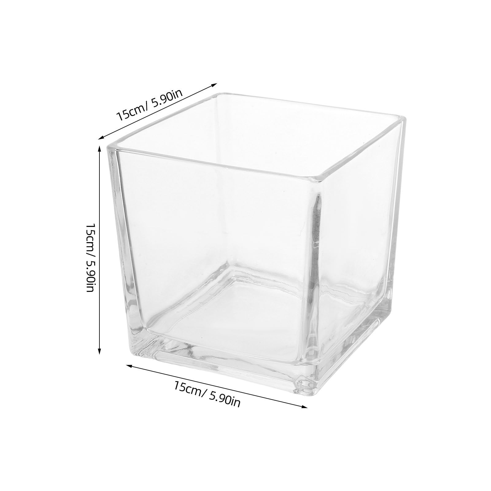 TEHAUX Jarrón Cristal Cuadrado de Vidrio Transparente para Decoración de Hogar Diseño Moderno y Resistente, Adecuado para Plantas Hidropónicas y Flores en Sala
