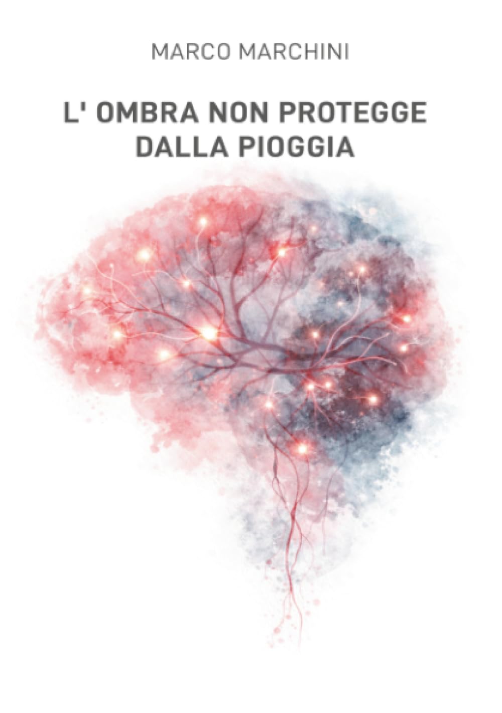 L'ombra non protegge dalla pioggia