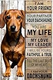 Letrero de metal vintage con texto 'Perro salchicha compañero soy tu amigo, eres mi vida, mi amor, mi líder', decoración de pared retro para el hogar, cafetería, bar, divertido letrero de aluminio d